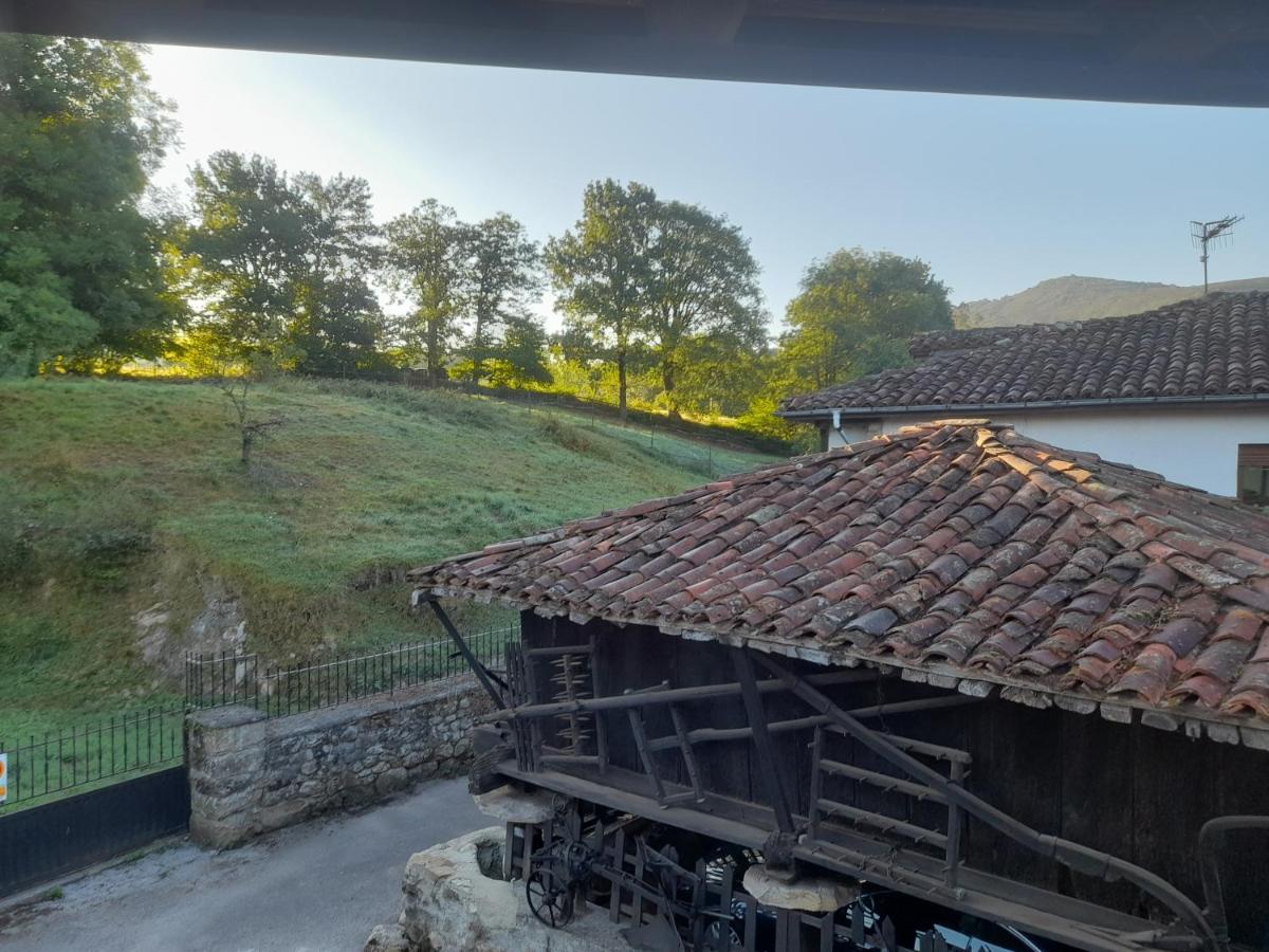 La Del Canario Nocleg ze śniadaniem